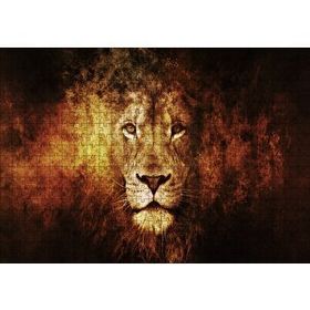Cakapuzzle Görkemli Erkek Aslan 500 Parça Puzzle