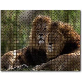 Cakapuzzle Görkemli Erkek Aslanlar Mdf 255 Parça Puzzle