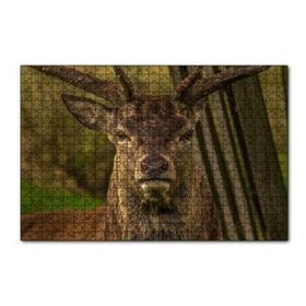 Cakapuzzle Görkemli Geyik Yakın Çekim 120 Parça Ahşap Puzzle