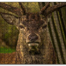 Cakapuzzle Görkemli Geyik Yakın Çekim Mdf 500 Parça Puzzle