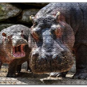 Cakapuzzle Görkemli Suaygırı ve Yavrusu Mdf 255 Parça Puzzle