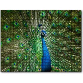 Cakapuzzle Görkemli Tavuskuşu Mdf 500 Parça Puzzle