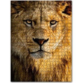 Cakapuzzle Gözlerinin İçine Bakan Erkek Aslan Ahşap 255 Parça Puzzle