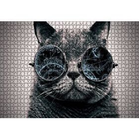 Cakapuzzle Gözlüklü Siyah Kedi ve Formüller 120 Parça Ahşap Puzzle