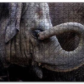 Cakapuzzle Gözünü Kaşıyan Fil Yakın Çekim Mdf 255 Parça Puzzle