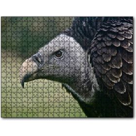Cakapuzzle Gri Başlı Siyah Akbaba Yakın Çekim Mdf 1000 Parça Puzzle