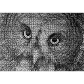 Cakapuzzle Gri Baykuş Yüz Yakın Çekim 120 Parça Ahşap Puzzle