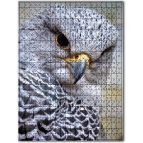 Cakapuzzle Gri Doğan Yakın Plan Ahşap 500 Parça Puzzle