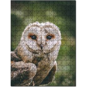 Cakapuzzle Gri Orman Baykuşu Görseli 1000 Parça Puzzle