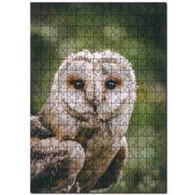 Cakapuzzle Gri Orman Baykuşu Görseli Mdf 255 Parça Puzzle