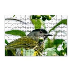 Cakapuzzle Gri Sarı Kuş ve Dalda Yeşil Meyveler 120 Parça Ahşap Puzzle