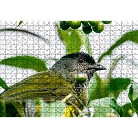 Cakapuzzle Gri Sarı Kuş ve Dalda Yeşil Meyveler 120 Parça Ahşap Puzzle