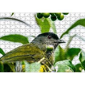 Cakapuzzle Gri Sarı Kuş ve Dalda Yeşil Meyveler 120 Parça Ahşap Puzzle