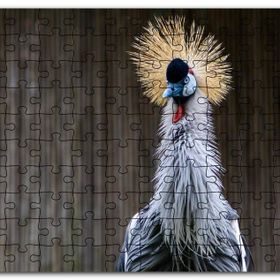 Cakapuzzle Gri Taçlı Turna Kuşu Yakın Çekim Mdf 255 Parça Puzzle
