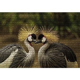 Cakapuzzle Gri Vinç Taç Kuşları Afrika Ahşap 1000 Parça Puzzle