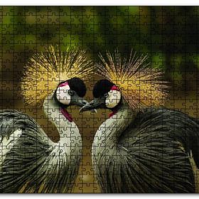 Cakapuzzle Gri Vinç Taç Kuşları Afrika Mdf 120 Parça Puzzle