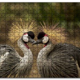 Cakapuzzle Gri Vinçler Taç Kuşları Görsel Mdf 500 Parça Puzzle