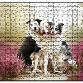 Cakapuzzle Gülerek Poz Veren Sevimli Köpekler ve Çiçekler Mdf 120 Parça Puzzle