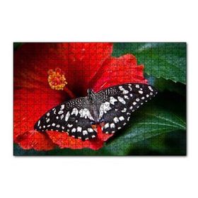Cakapuzzle Gülhatmi Çiçeği ve Siyah Beyaz Kelebek 120 Parça Ahşap Puzzle