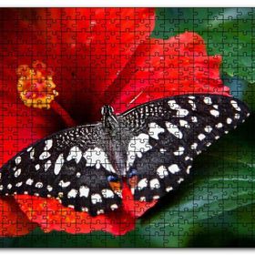 Cakapuzzle Gülhatmi Çiçeği ve Siyah Beyaz Kelebek Mdf 1000 Parça Puzzle