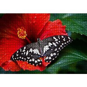 Cakapuzzle Gülhatmi Çiçeği ve Siyah Beyaz Kelebek Mdf 1000 Parça Puzzle