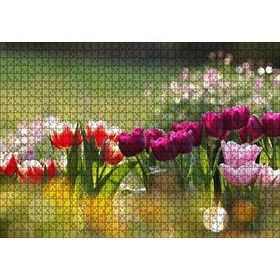 Cakapuzzle Gün Işığı Renkli Lale Bahçesi 120 Parça Puzzle
