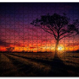 Cakapuzzle Günbatımı Çayırlar ve Yalnız Ağaç Mdf 1000 Parça Puzzle