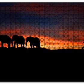 Cakapuzzle Günbatımı Filler ve Safari Fotoğrafçısı Mdf 1000 Parça Puzzle