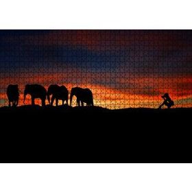 Cakapuzzle Günbatımı Filler ve Safari Fotoğrafçısı Mdf 1000 Parça Puzzle