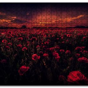 Cakapuzzle Günbatımı Gelincik Tarlası ve Kızıl Gökler Mdf 255 Parça Puzzle