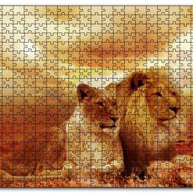 Cakapuzzle Günbatımında Aslan Çifti Mdf 500 Parça Puzzle
