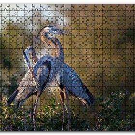 Cakapuzzle Günbatımında Balıkçıl Çift Mdf 255 Parça Puzzle