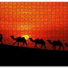 Cakapuzzle Günbatımında Develeri Çeken Adam Mdf 1000 Parça Puzzle