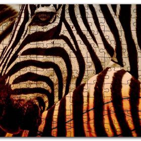 Cakapuzzle Günbatımında Zebra Desenleri Yakın Çekim Mdf 1000 Parça Puzzle