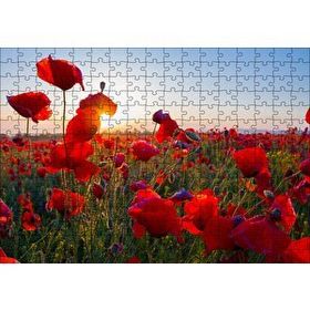 Cakapuzzle Gündoğumu Çayırda Kırmızı Gelincikler 255 Parça Puzzle
