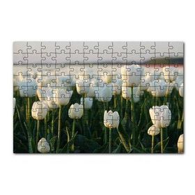 Cakapuzzle Gündoğumunda Beyaz Laleler 120 Parça Ahşap Puzzle