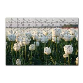 Cakapuzzle Gündoğumunda Beyaz Laleler 120 Parça Ahşap Puzzle