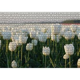 Cakapuzzle Gündoğumunda Beyaz Laleler Mdf 1000 Parça Puzzle