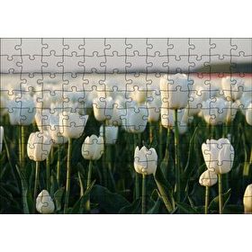 Cakapuzzle Gündoğumunda Beyaz Laleler Mdf 120 Parça Puzzle