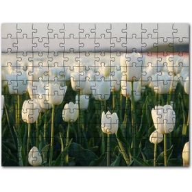 Cakapuzzle Gündoğumunda Beyaz Laleler Mdf 500 Parça Puzzle