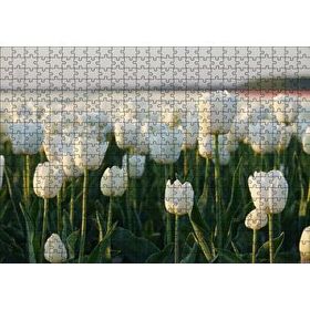 Cakapuzzle Gündoğumunda Beyaz Laleler Mdf 500 Parça Puzzle