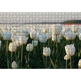 Cakapuzzle Gündoğumunda Beyaz Laleler Mdf 500 Parça Puzzle