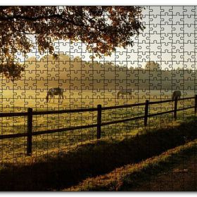 Cakapuzzle Gündoğumunda Sisler ve Otlayan Atlar Mdf 1000 Parça Puzzle