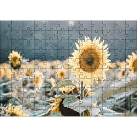 Cakapuzzle Günebakan Çiçeği Flu Arkaplan 120 Parça Ahşap Puzzle