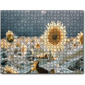 Cakapuzzle Günebakan Çiçeği Flu Arkaplan Mdf 500 Parça Puzzle