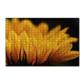 Cakapuzzle Günebakan Çiçeği Makro Çekim 120 Parça Ahşap Puzzle