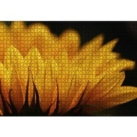 Cakapuzzle Günebakan Çiçeği Makro Çekim 120 Parça Ahşap Puzzle