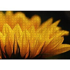 Cakapuzzle Günebakan Çiçeği Makro Çekim 120 Parça Ahşap Puzzle