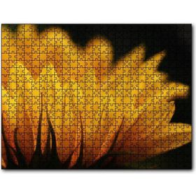 Cakapuzzle Günebakan Çiçeği Makro Çekim 255 Parça Puzzle