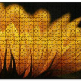 Cakapuzzle Günebakan Çiçeği Makro Çekim Mdf 1000 Parça Puzzle